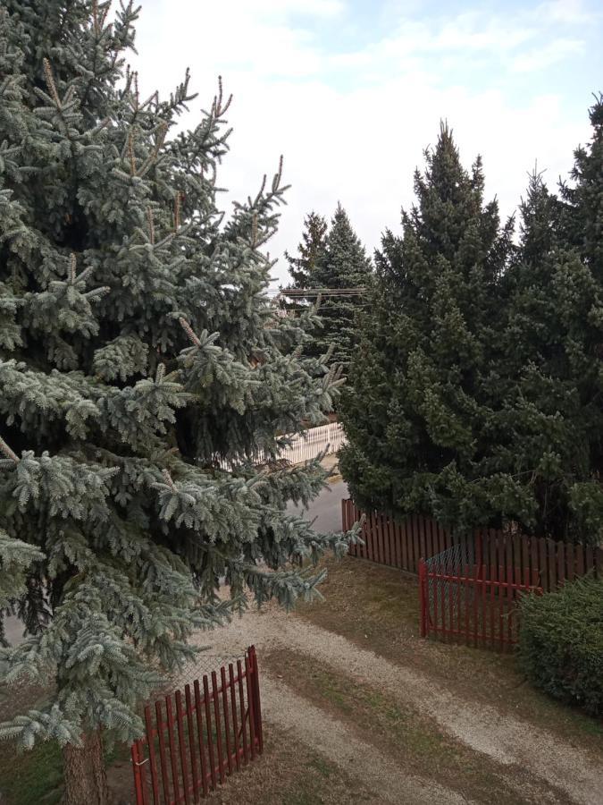 דירות Balatonkeresztúr Borostyan Vendeghaz מראה חיצוני תמונה